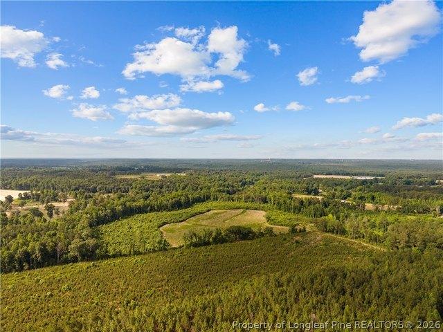 Land for sale in Bunnlevel, North Carolina