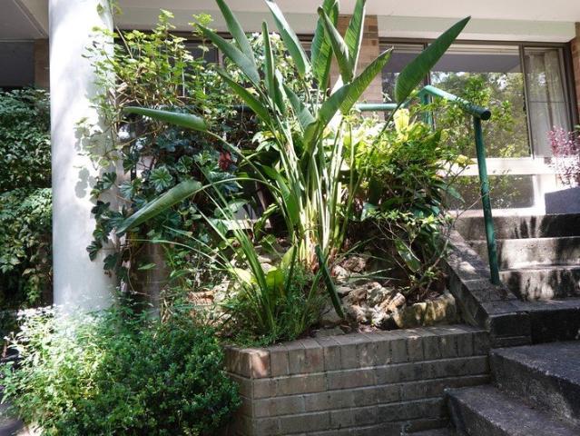 Granny Flat for rent in Sydney, New South Wales