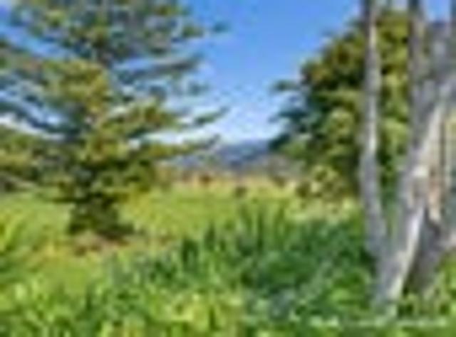 Apartment for sale in Whangamatā, Thames-Coromandel District