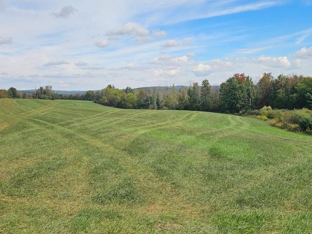 Land for sale in Town of Rathbone, Steuben County