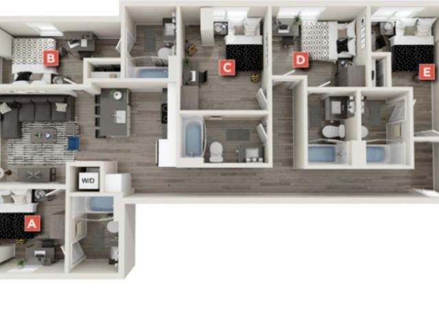 Room for rent in West Campus, Seattle