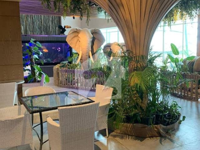 Commercial for sale in Islamabad
