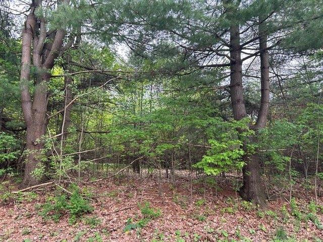 Land for sale in Clarion, Pennsylvania