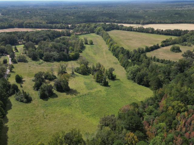 Land for sale in Eupora, Mississippi