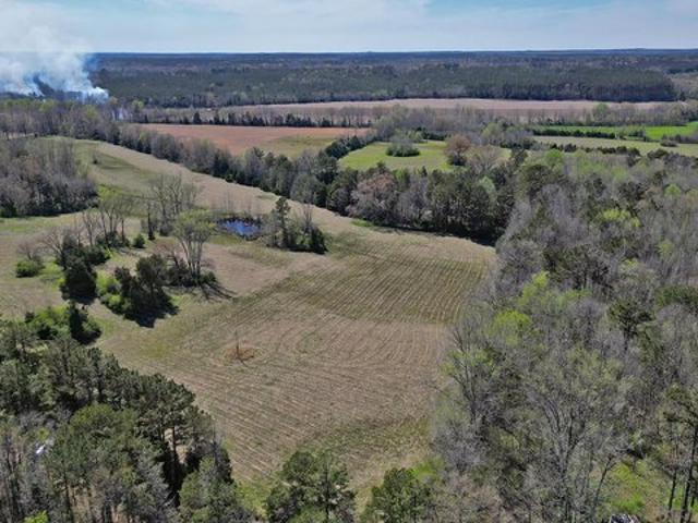 Land for sale in Eupora, Mississippi