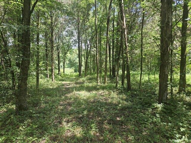 Land for sale in Lebanon, Tennessee