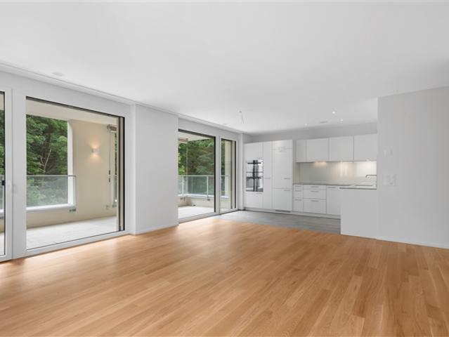Wohnung mieten in Schaffhausen