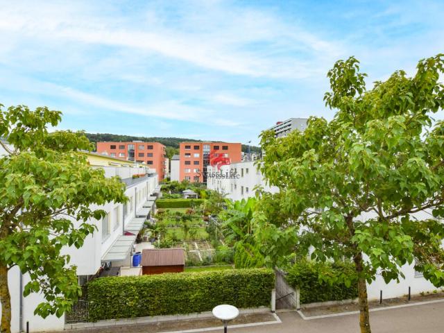 Immobilie kaufen in Schlieren, Zürich