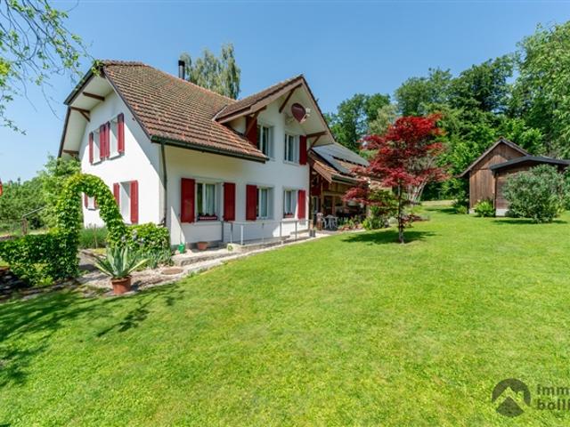 Einfamilienhaus kaufen in Murgenthal, Aargau