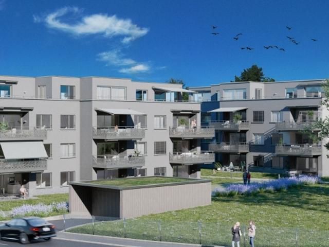 Wohnung kaufen in Hinwil, Zürich