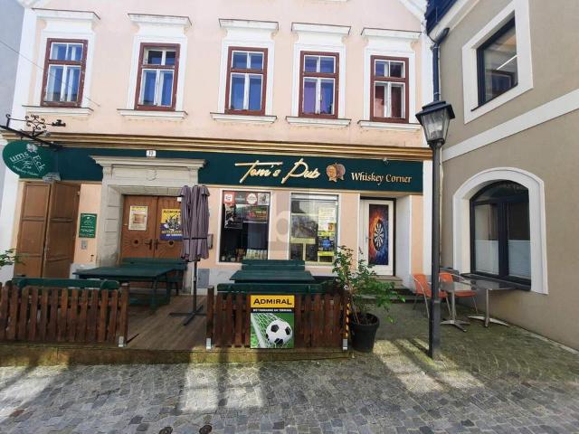 Haus kaufen in Waidhofen an der Ybbs, Niederösterreich