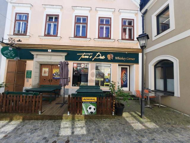 Haus kaufen in Waidhofen an der Ybbs
