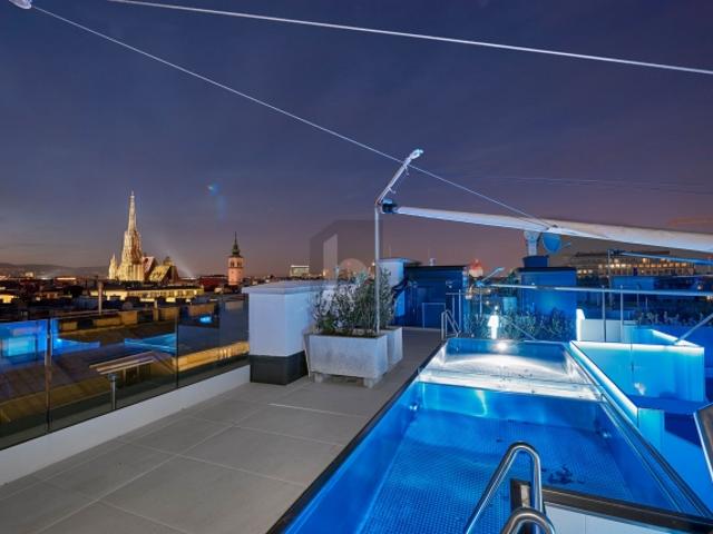 Penthouse kaufen in Wien