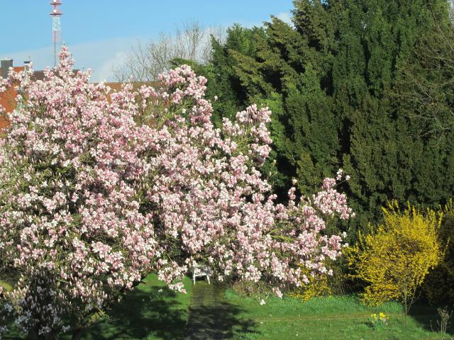 Villa kaufen in Meitingen, Bayern