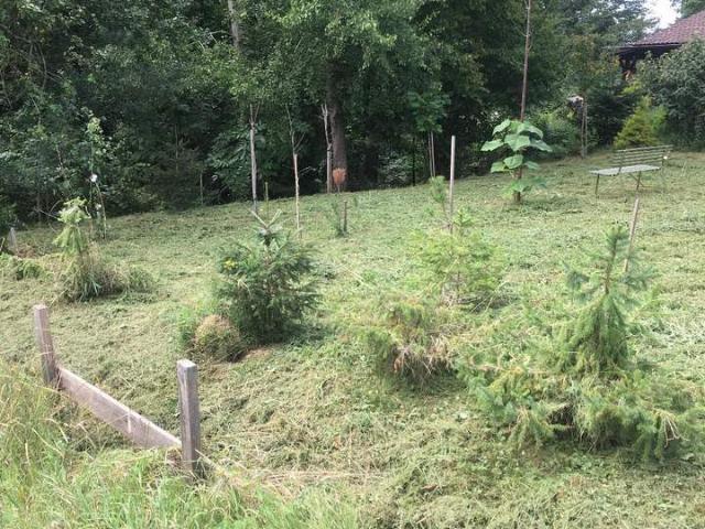 Grundstück kaufen in Steiermark