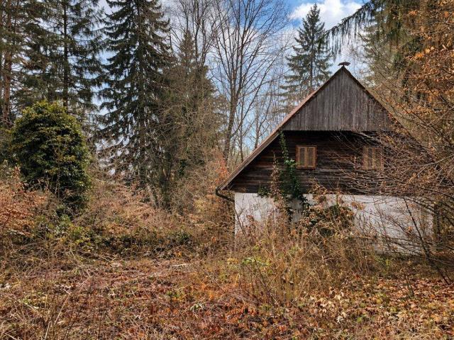 Haus kaufen in Stainz, Steiermark