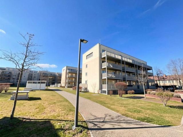 Apartment mieten in Innenstadt, Lübeck