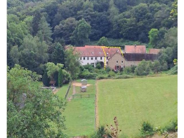 Haus kaufen in Hallgarten, Rheinland-Pfalz