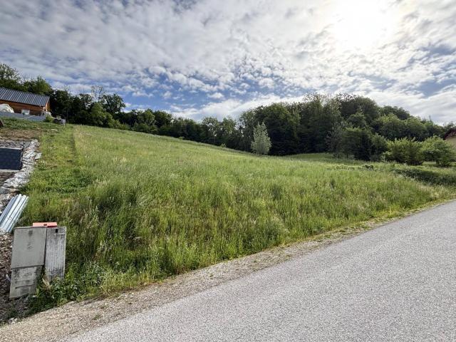 Immobilie kaufen in Saxen, Oberösterreich