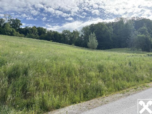 Grundstück kaufen in Saxen, Oberösterreich