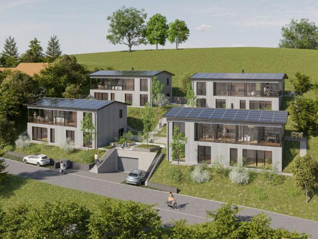 Einfamilienhaus kaufen in Dürnten, Zürich