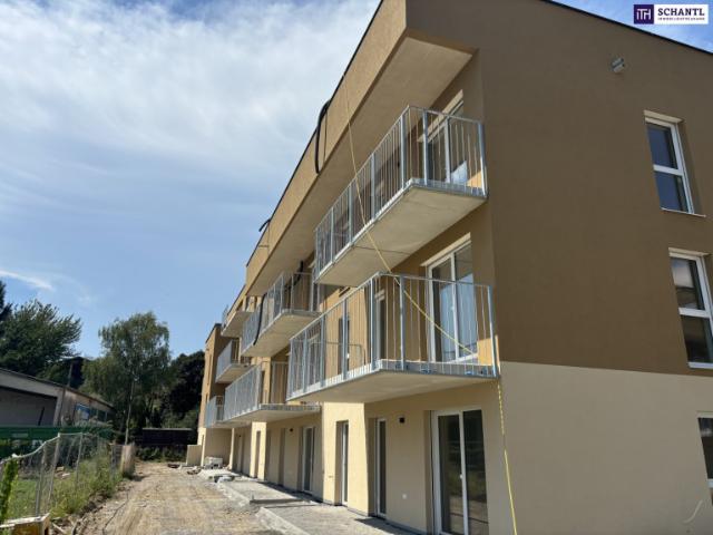 Wohnung kaufen in Kleinsulz, Steiermark