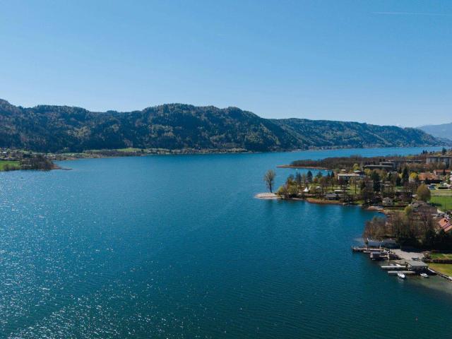 Immobilie kaufen in Ossiacher See Nordufer, Steindorf am Ossiacher See