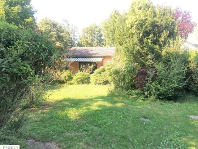 Haus kaufen in Lassee, Bezirk Gänserndorf
