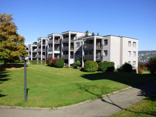 Apartment mieten in Oeggisbüel, Thalwil