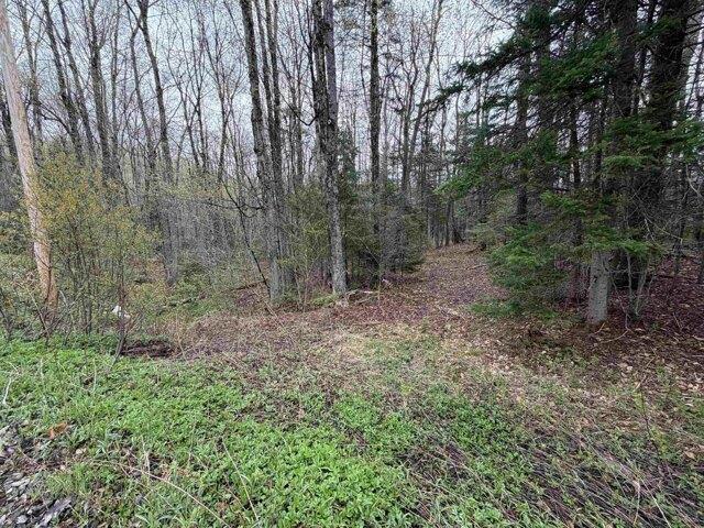 Land for sale in Bennington, Vermont