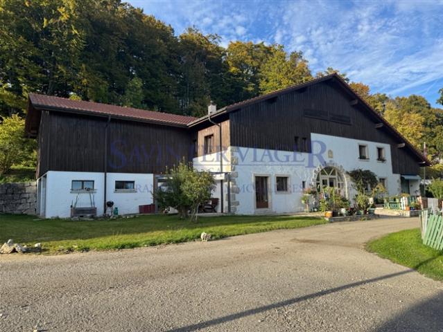 Einfamilienhaus kaufen in Moutier, Bern