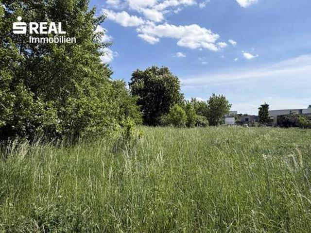 Grundstück kaufen in Neusiedl am See, Burgenland
