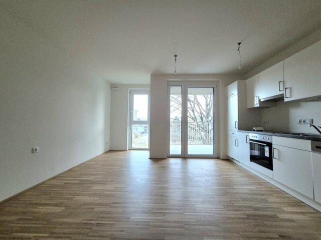 Apartment mieten in Liebenau, Gersdorf-Feistritz