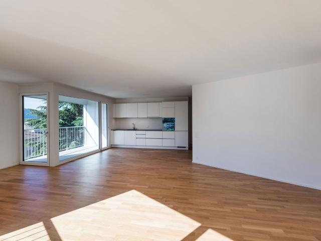 Wohnung mieten in Massagno, Tessin