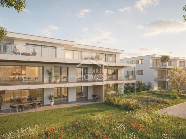 Wohnung kaufen in Recherswil, Amtei Bucheggberg-Wasseramt
