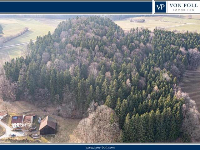 Erdgeschosswohnung kaufen in Ulrichsgrün, Waldmünchen