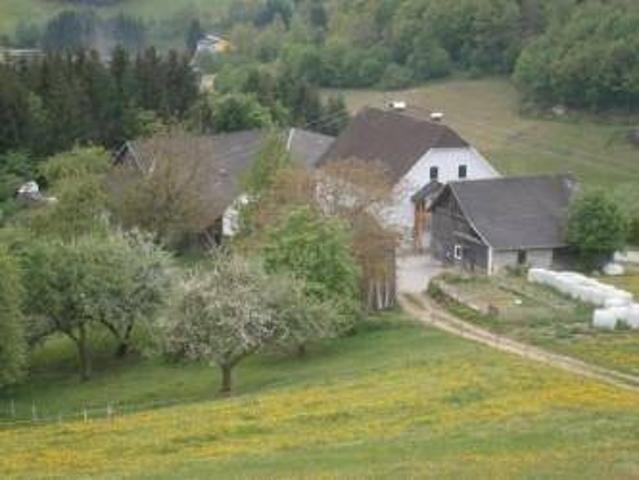 Haus kaufen in Waldhausen im Strudengau, Bezirk Perg