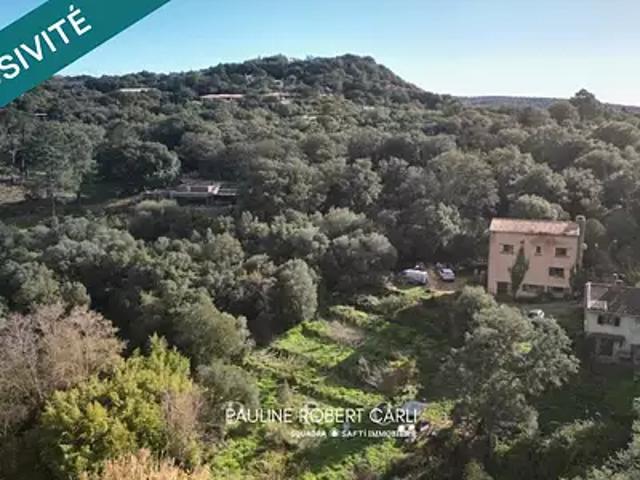 Maison vente à Sartène, Lecci