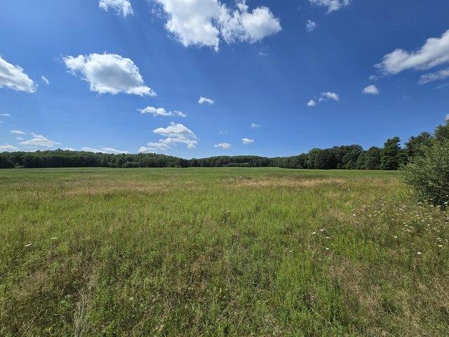 Land for sale in Brethren, Michigan