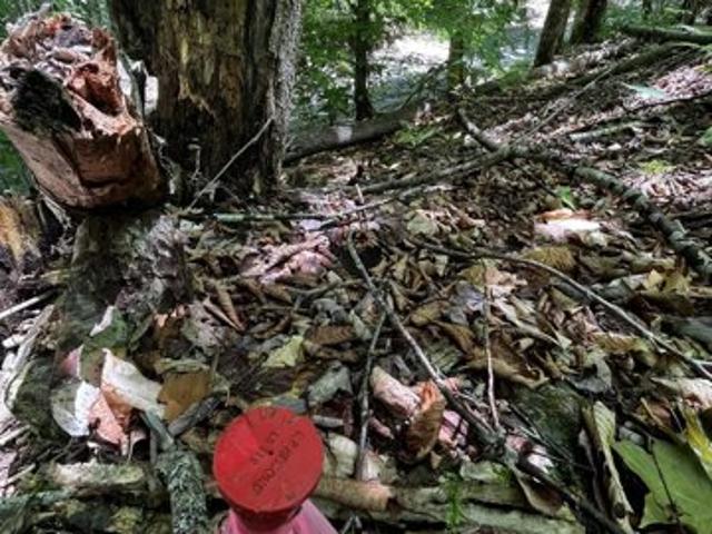 Land for sale in Concord, Vermont
