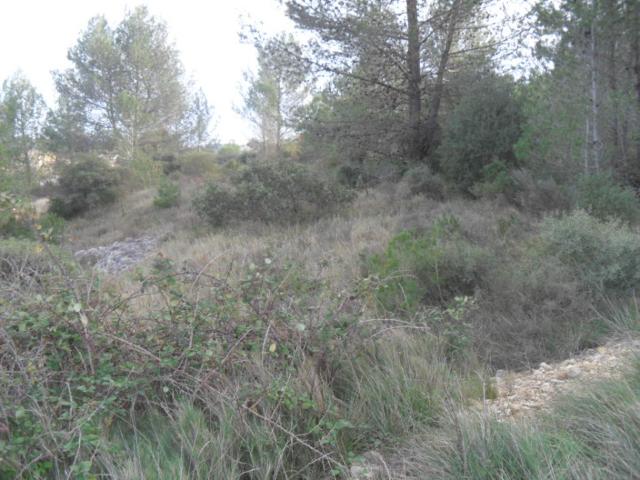 Terrain vente à Lédenon, Gard