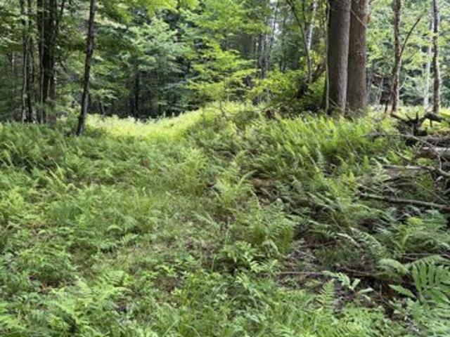 Land for sale in New Hampshire