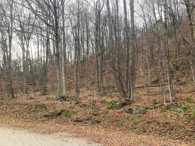 Land for sale in Killington Land for sale in Killington