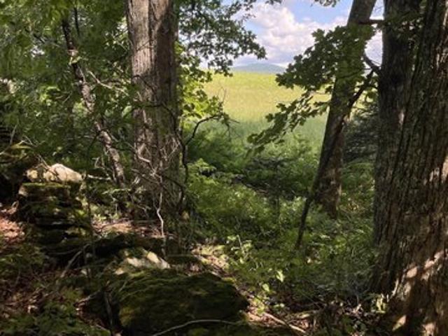 Land for sale in Calais, Vermont