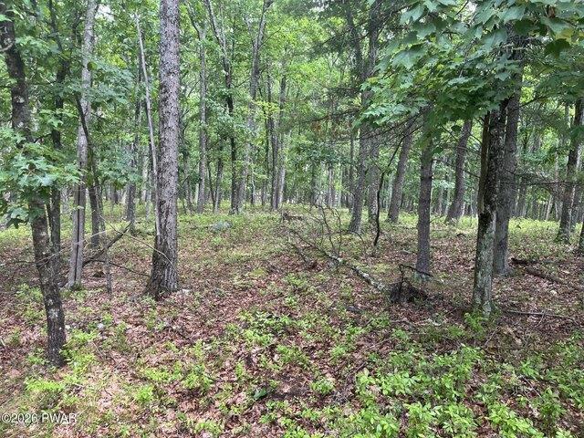 Land for sale in Hawley, Pennsylvania