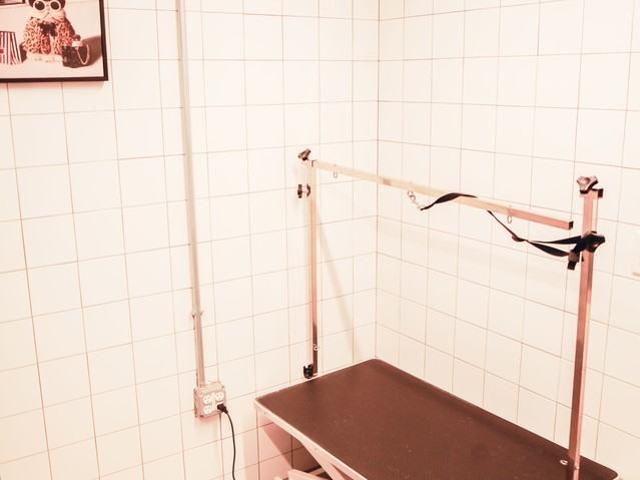Apartment for rent in Washington, Washington DC