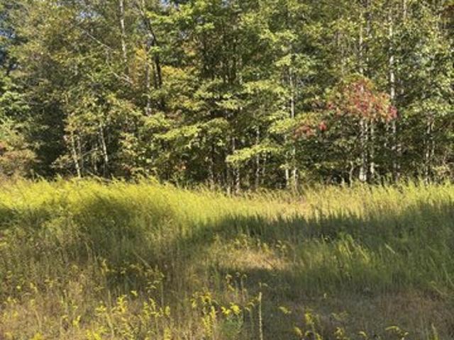 Land for sale in Fayetteville, West Virginia