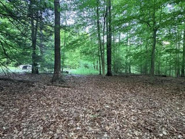 Land for sale in Fayetteville, West Virginia