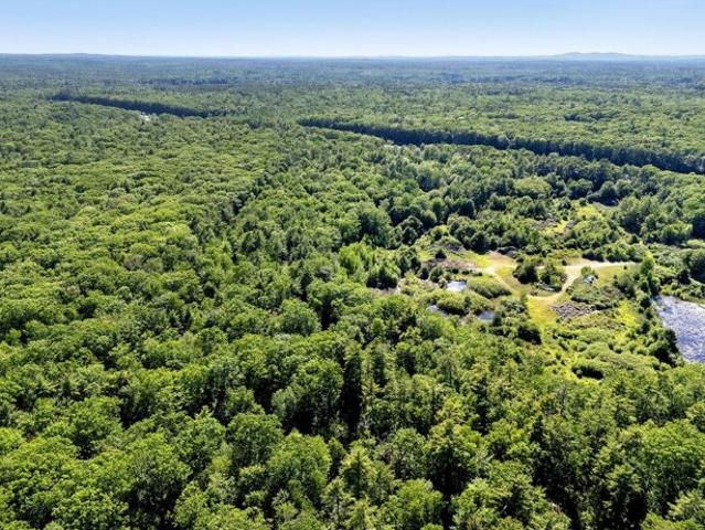 Land for sale in Wells, York County