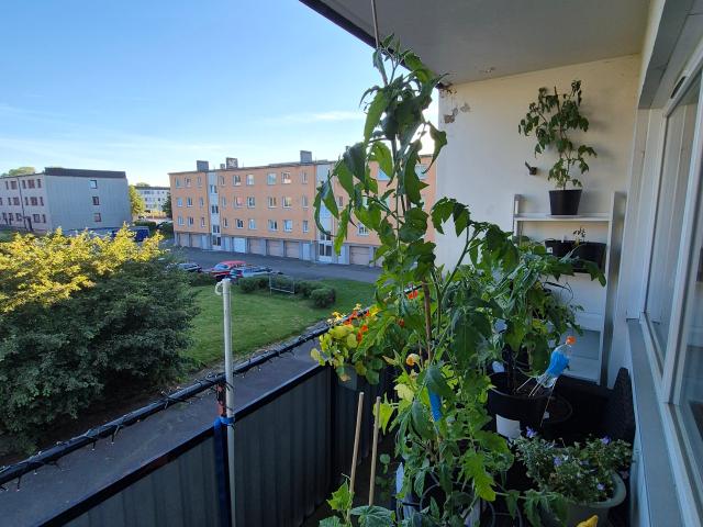 Bostad hyra i Forserum, Jönköping